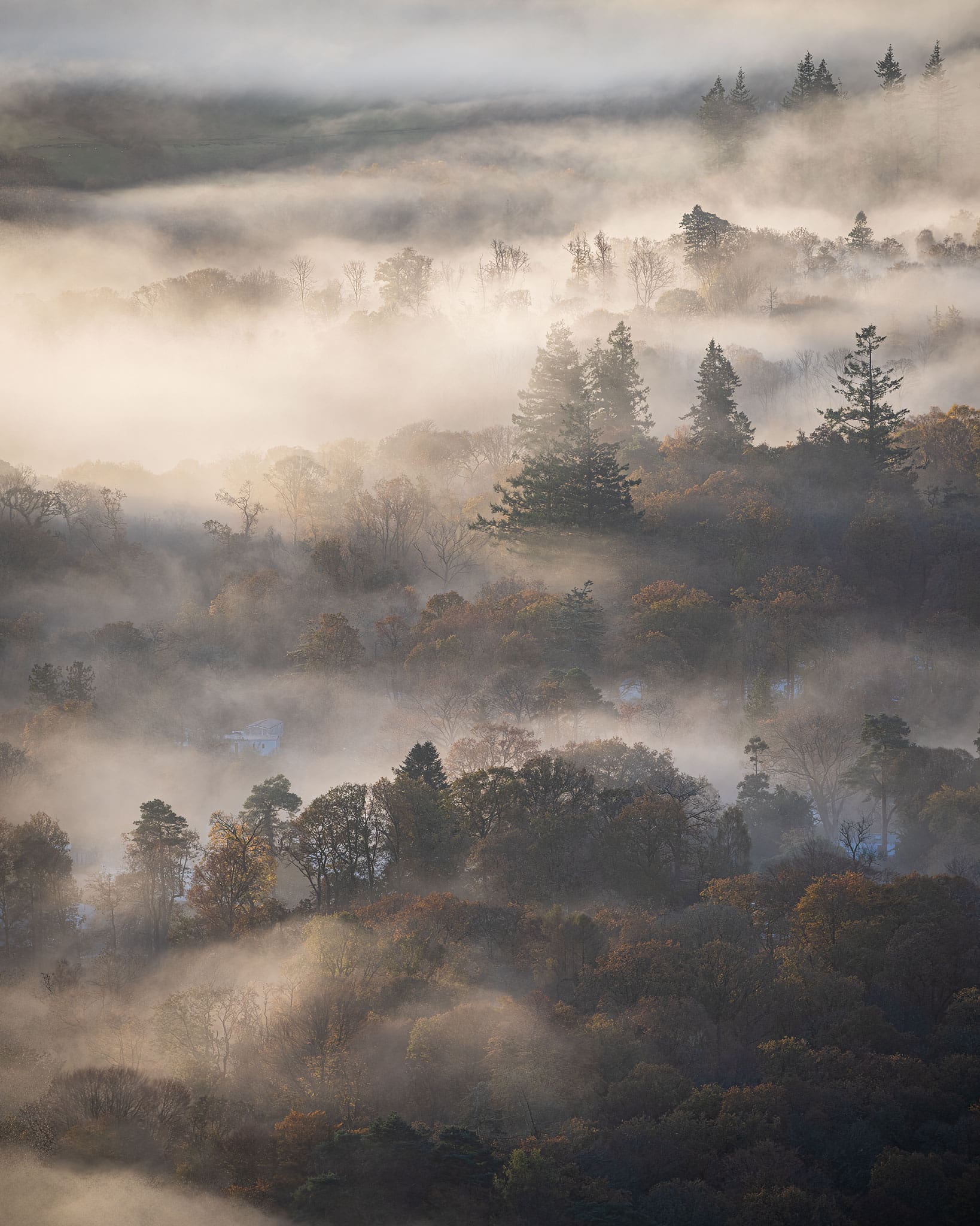 Autumn Fog - Lake District Photography